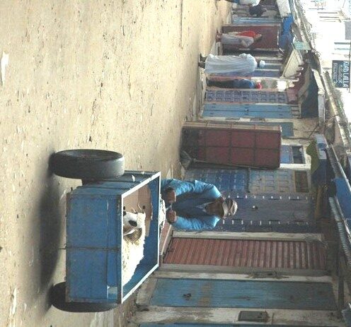 Aïd el Kbir à Essaouira