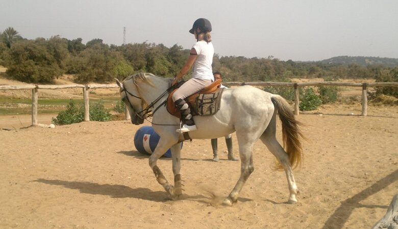 stage d'équitation à Ranch de Diabat