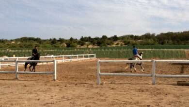 Cours equitation essaouira