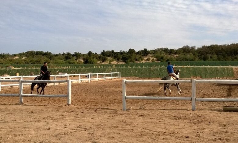 Cours equitation essaouira