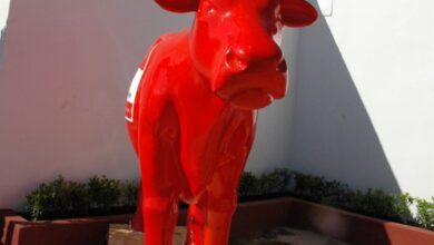 Programme de l’été au Krouge