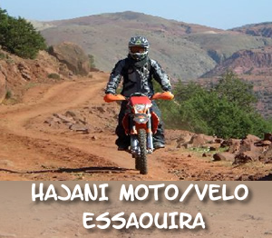 hajani moto velo