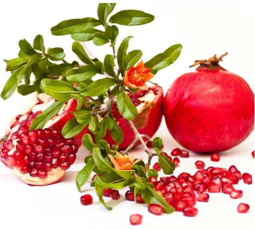 la grenade fruit du grenadier