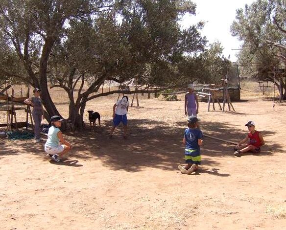 Mini Camps enfants 6-9 ans