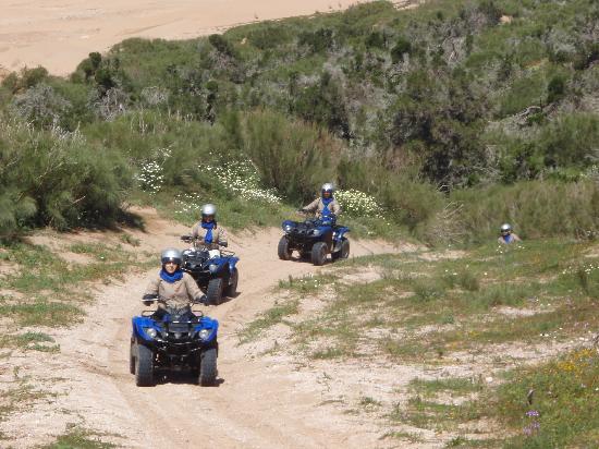 Palma Quad