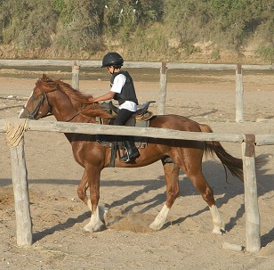 cours d'équitation pour les enfants