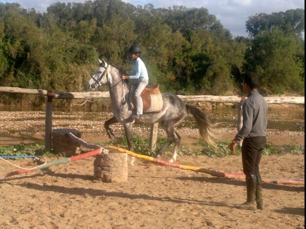 concours équestre ranch diabat