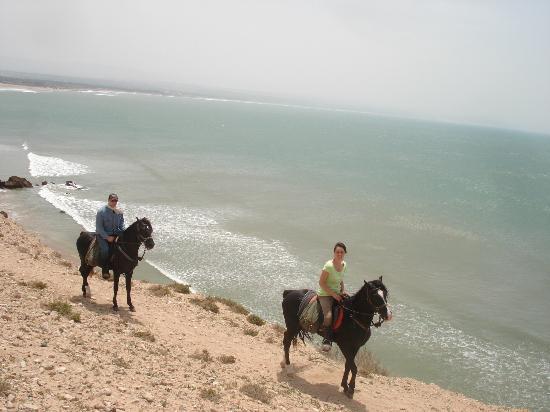 Zouina cheval Essaouira