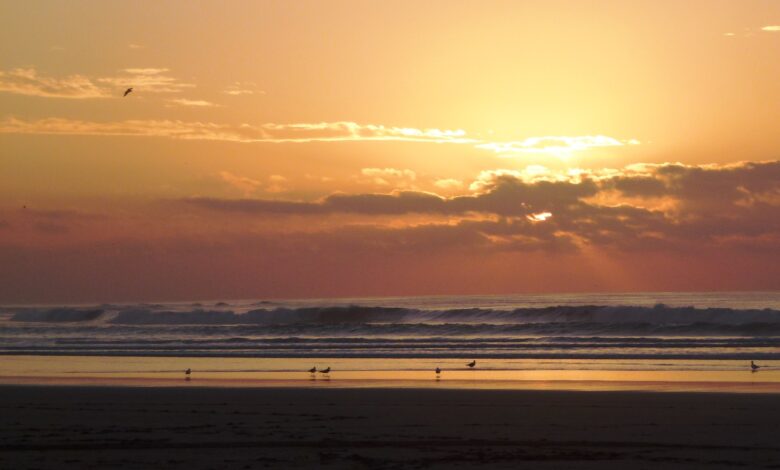 alouressaouira