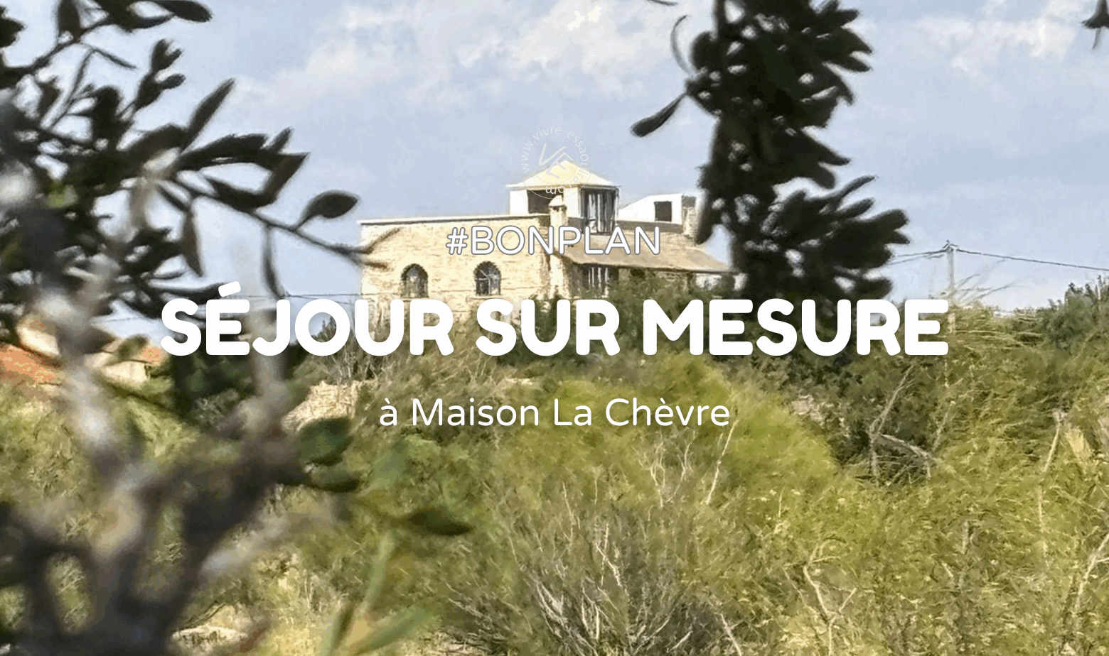 Photo d'illustration d'un article sur les séjours sur mesure à Maison La Chèvre Essaouira