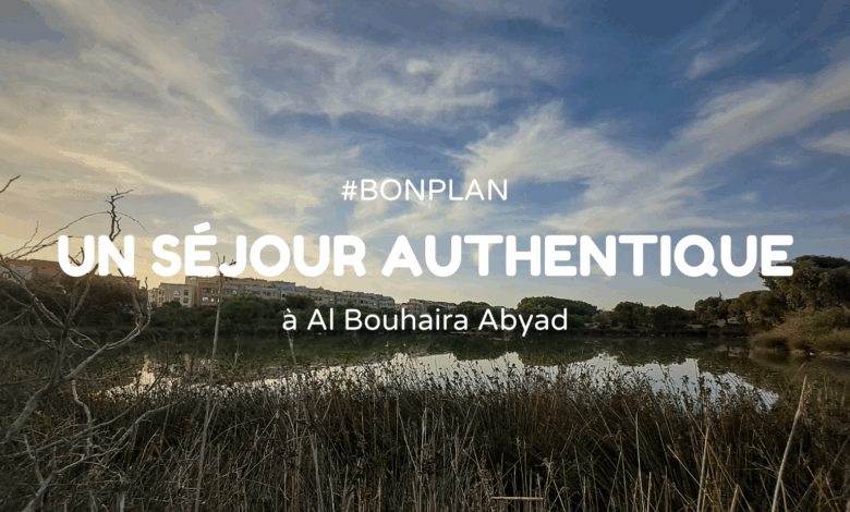 Visuel d'illustration Al Bouhaira Abyad Essaouira