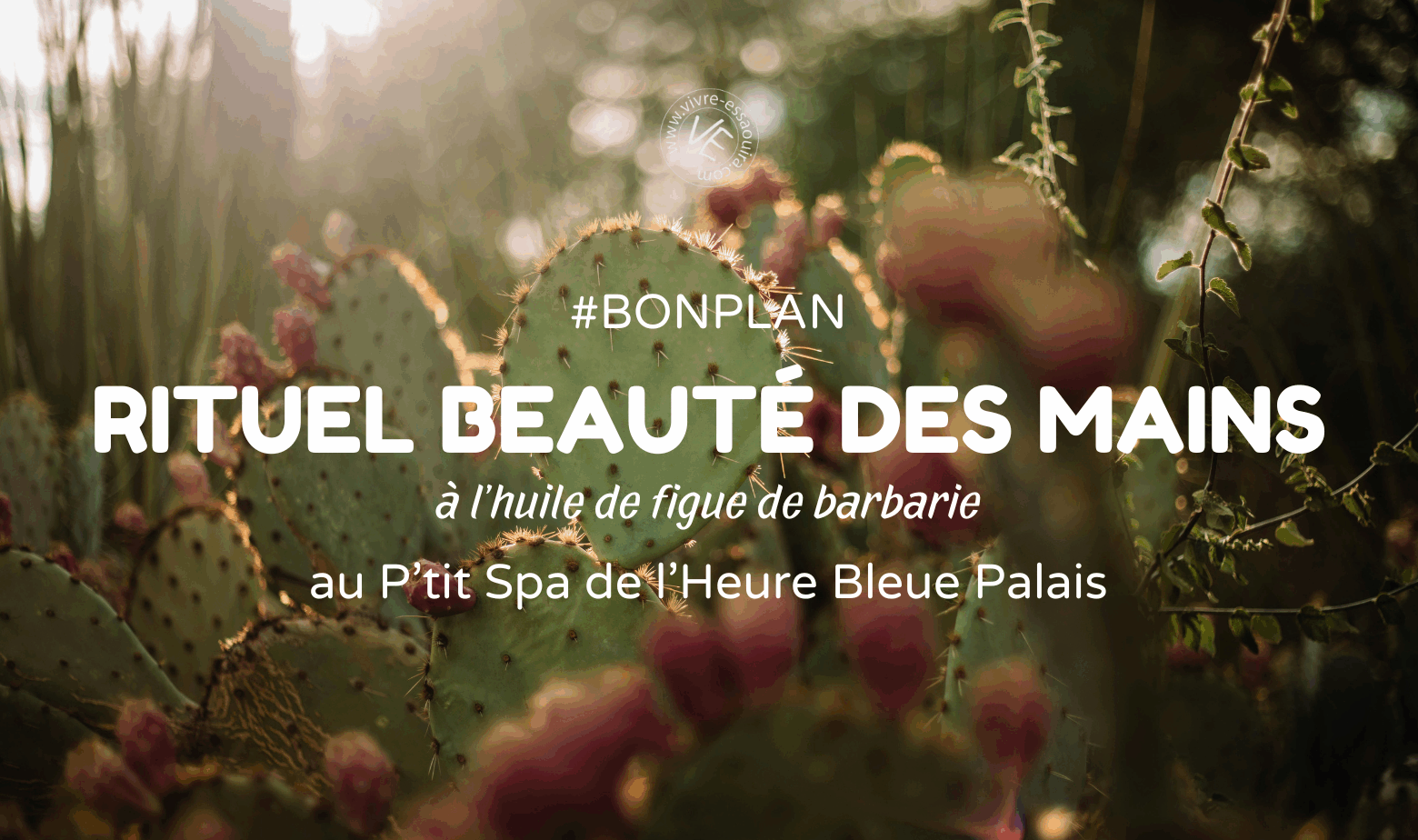 Visuel d'illustration article beauté des mains heure bleue essaouira