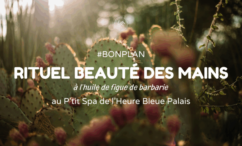 Visuel d'illustration article beauté des mains heure bleue essaouira