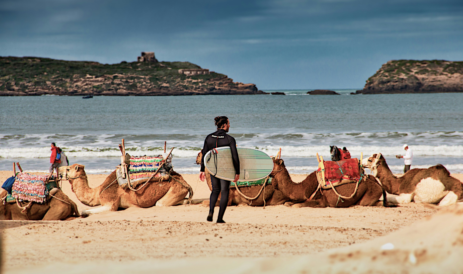 que faire a essaouira activites