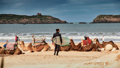que faire a essaouira activites
