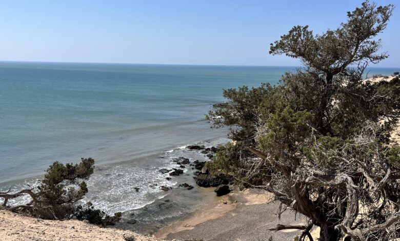 Crique du Cap Sim à Essaouira