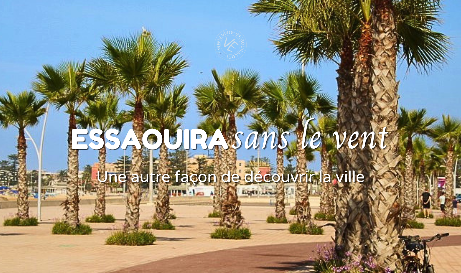 vent essaouira
