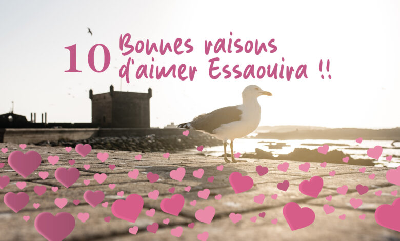 bonnes raisons visiter Essaouira