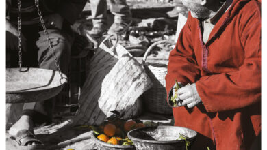 carnets de voyage de Vivre Essaouira