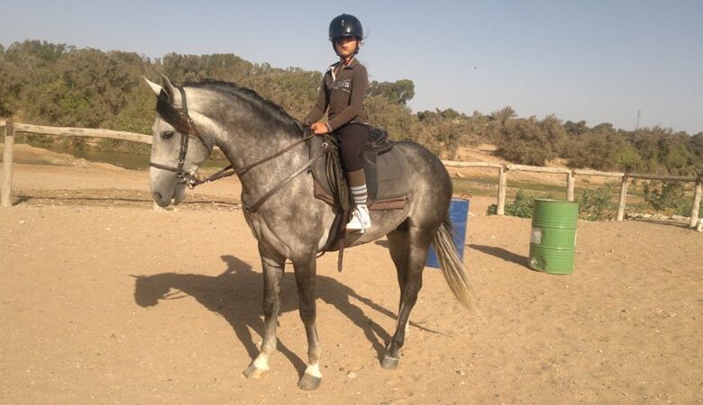 journée éducative ranch diabat