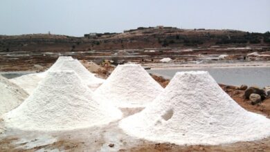 Salines de Smimou