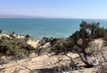 Vue des falaises du Cap Sim à Essaouira