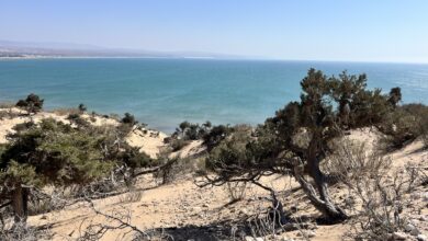 Vue des falaises du Cap Sim à Essaouira