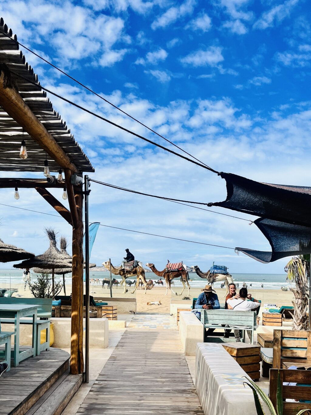 Galerie Photo d'un article sur Essaouira, la destination golf. 