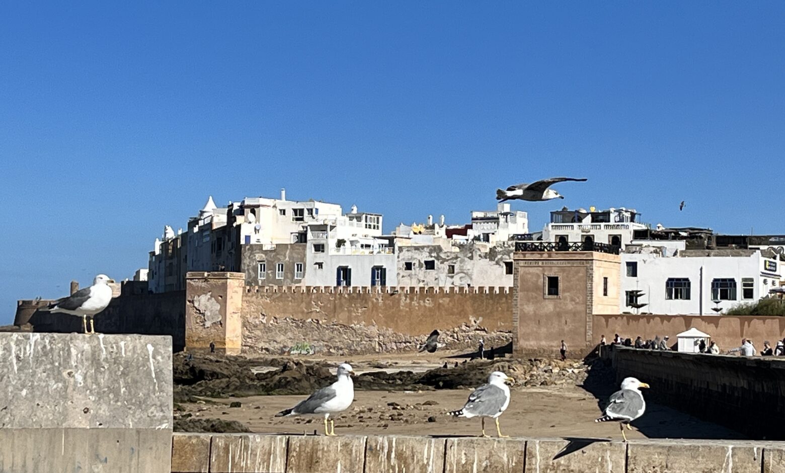 Photo d'illustration d'Essaouira, vue sur sa médina pour un article sur la ville d'Essaouira, hôte de la 18e conférence UNESCO du réseau des villes créatives