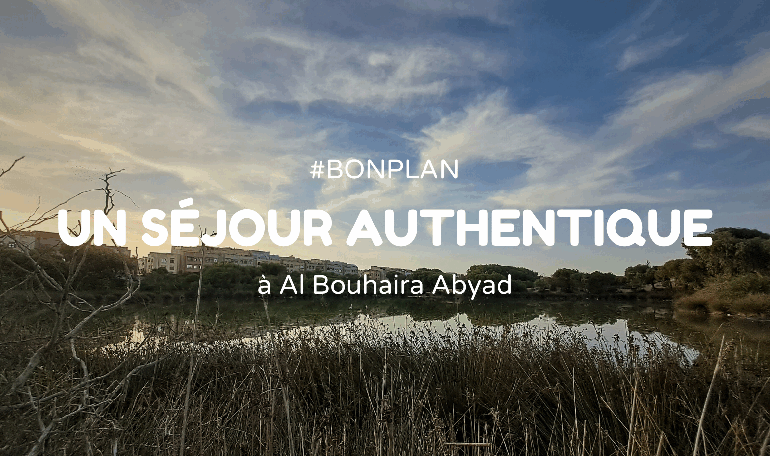 Visuel d'illustration Al Bouhaira Abyad Essaouira
