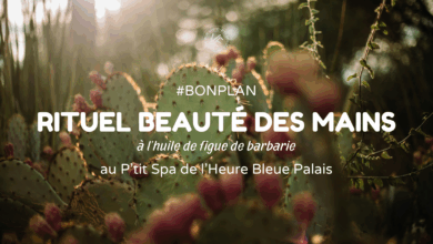 Visuel d'illustration article beauté des mains heure bleue essaouira