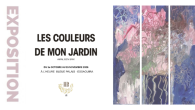 exposition essaouira heure bleue palais