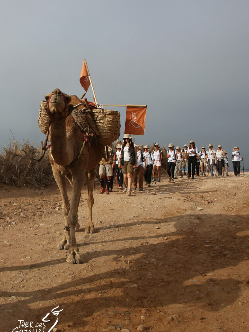 trek des gazelles by mélanie essaouira