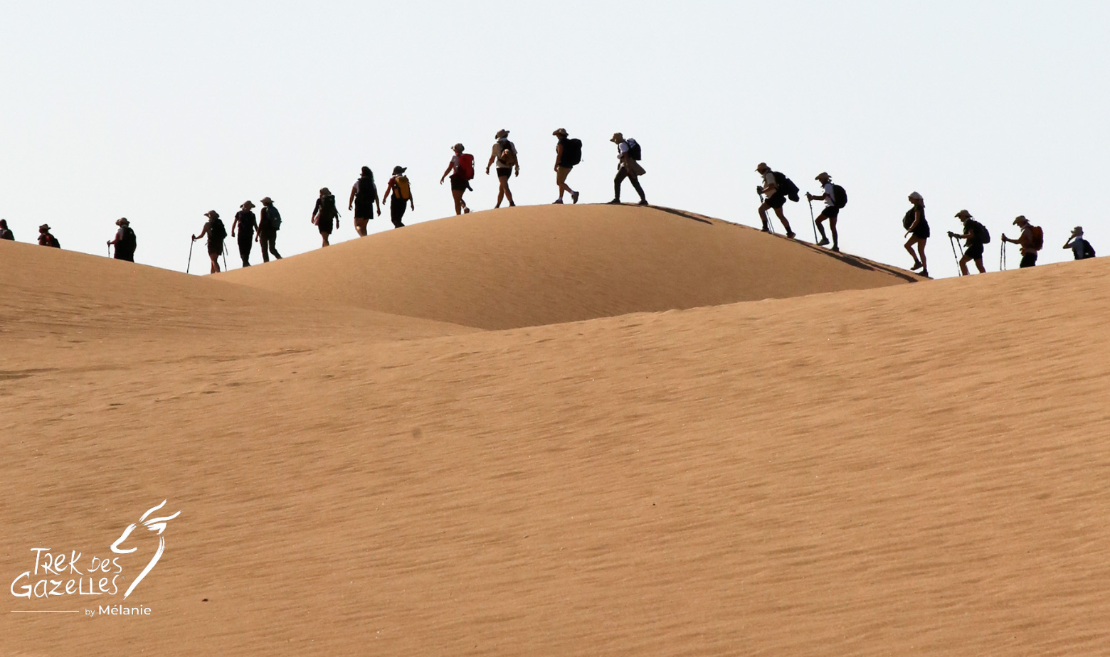 trek des gazelles essaouira
