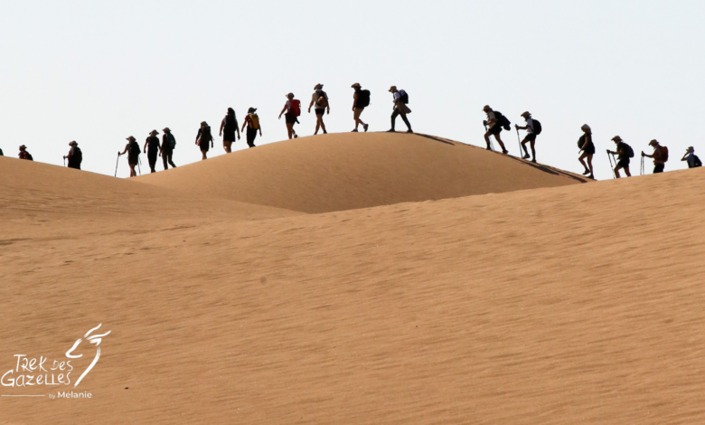 trek des gazelles essaouira