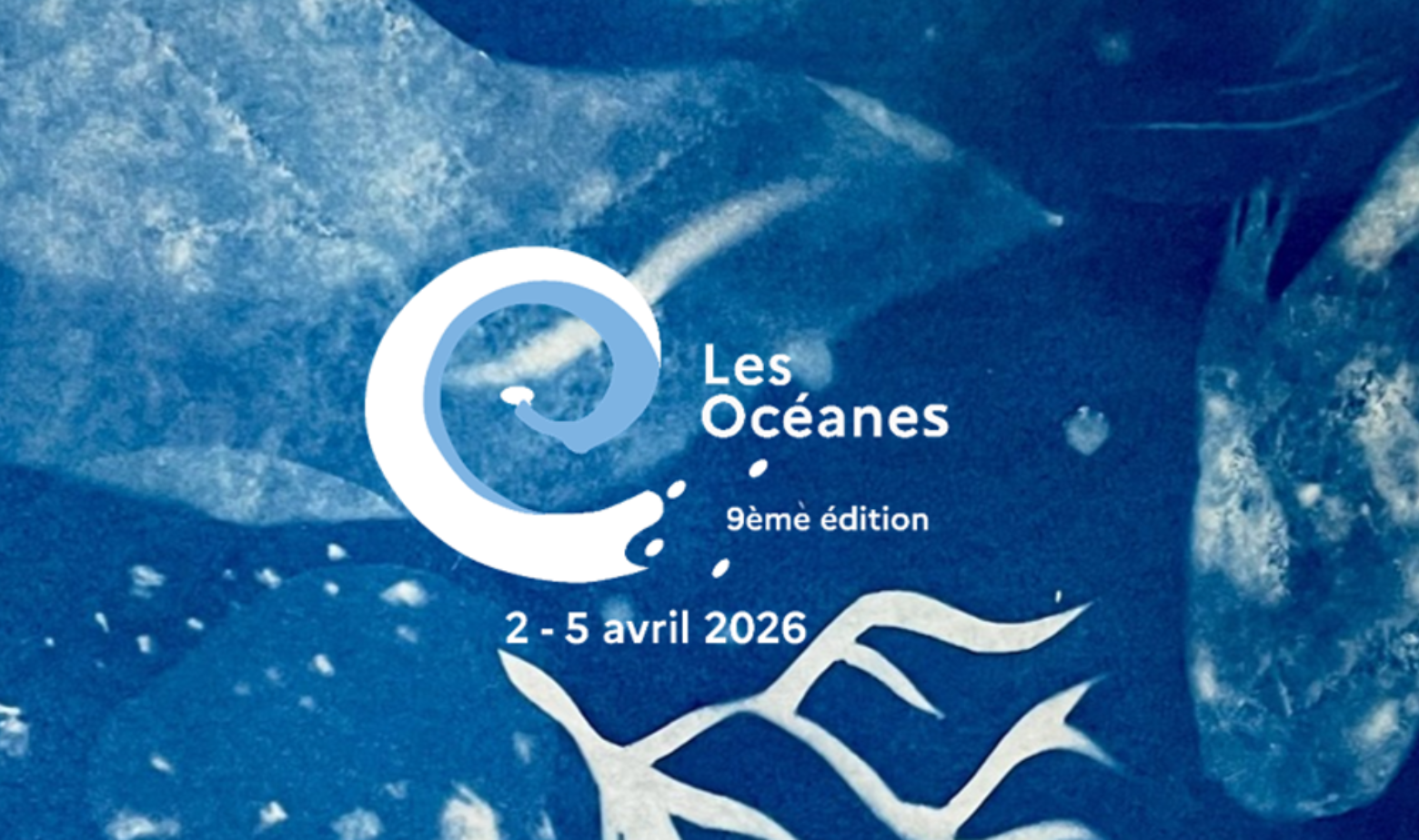 affiche festival oceanes essaouira
