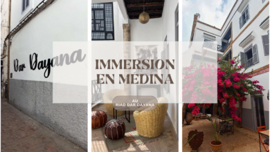 riad essaouira dar dayana