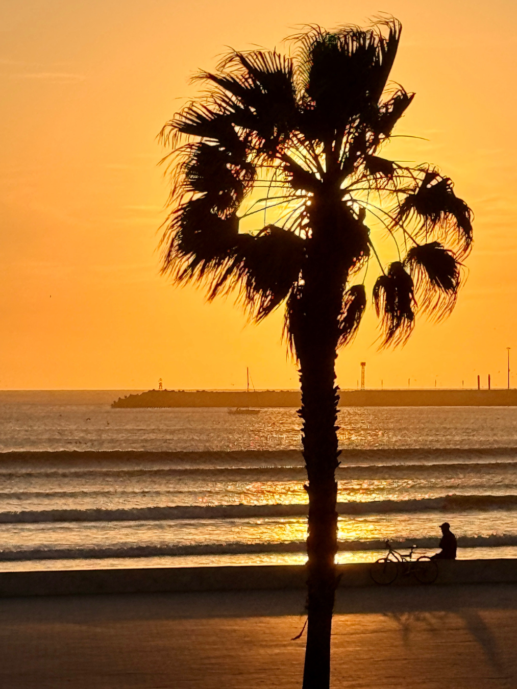 sunset restaurant Essaouira