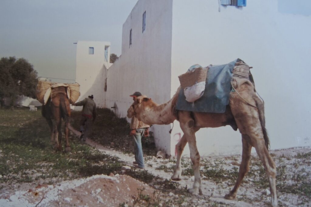 les jardins de silona essaouira