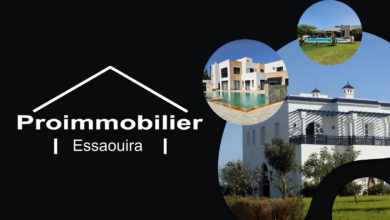 Agence immobilière Essaouira Proimmobilier